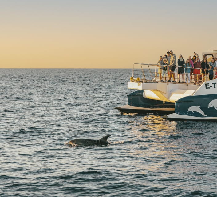 Port d'Alcudia: Sunrise at Sea & Dolphin Watching Boat Tour - Key points at a glance