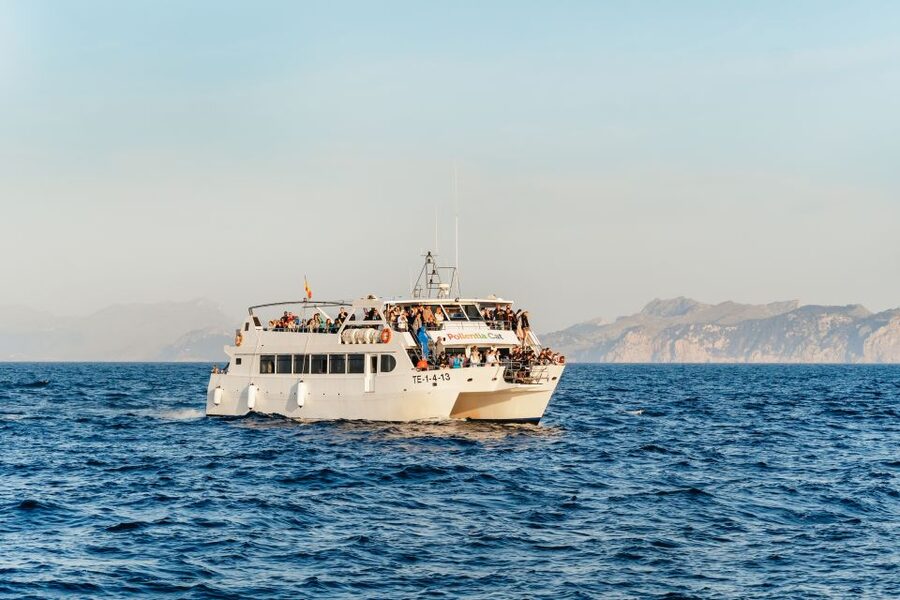Port d'Alcudia: Sunrise at Sea & Dolphin Watching Boat Tour - Why this early start can be worth it