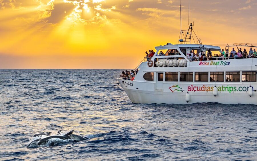 Port d'Alcudia: Sunrise at Sea & Dolphin Watching Boat Tour - The first hour: sailing toward the sunrise