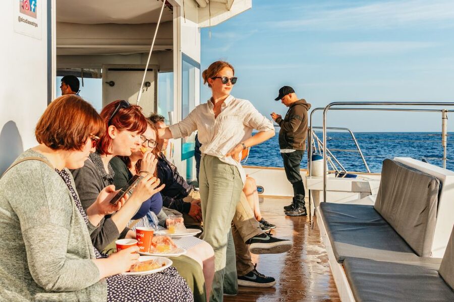Port d'Alcudia: Sunrise at Sea & Dolphin Watching Boat Tour - Meeting at Puerto de Alcúdia
