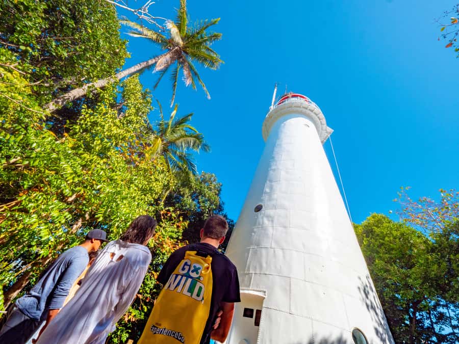 Port Douglas: Low Isles Glass Bottom Boat & Snorkeling Tour - Is $135 good value?