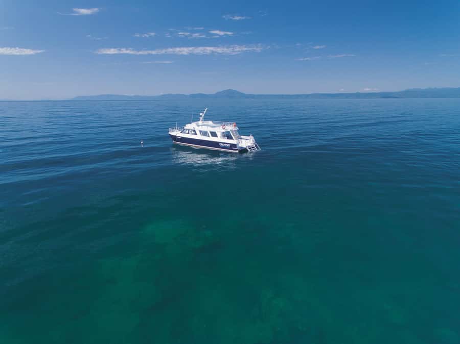 Port Douglas: Low Isles Glass Bottom Boat & Snorkeling Tour - Should you book it?