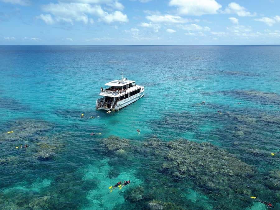 Port Douglas: Outer Great Barrier Reef Snorkeling Cruise - Key points at a glance