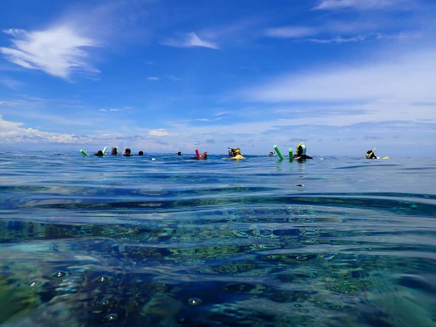 Port Douglas: Outer Great Barrier Reef Snorkeling Cruise - Who should book this cruise