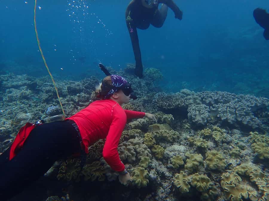 Port Douglas: Outer Great Barrier Reef Snorkeling Cruise - The first hour in the water