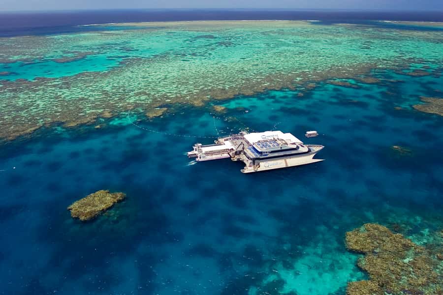 Port Douglas: Quicksilver Outer Barrier Reef Full-Day Cruise - A full day at Agincourt Reef from Port Douglas