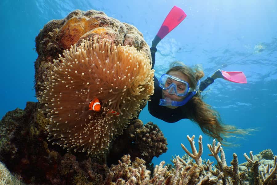 Port Douglas: Quicksilver Outer Barrier Reef Full-Day Cruise - Snorkeling for confident swimmers and beginners