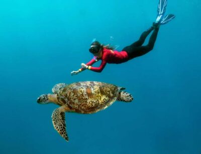 Quicksilver Outer Barrier Reef Full-Day Cruise