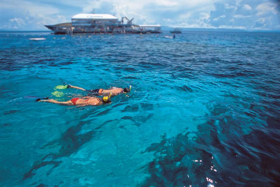 Port Douglas: Quicksilver Outer Barrier Reef Full-Day Cruise - Lunch, tea, and the practical comforts