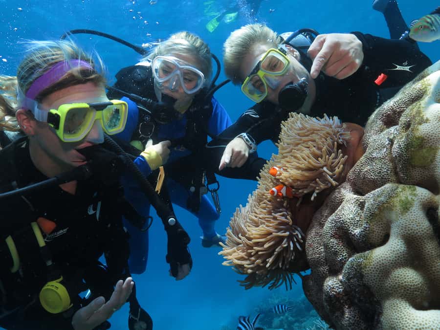 Port Douglas: Quicksilver Outer Barrier Reef Full-Day Cruise - Optional scuba, helmet walks, and the helicopter view