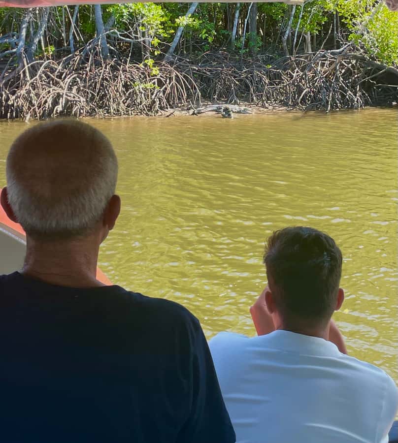 Port Douglas: River Cruise, Crocodile Spotting, Drink/ Snack - Who should book the Lady Douglas cruise