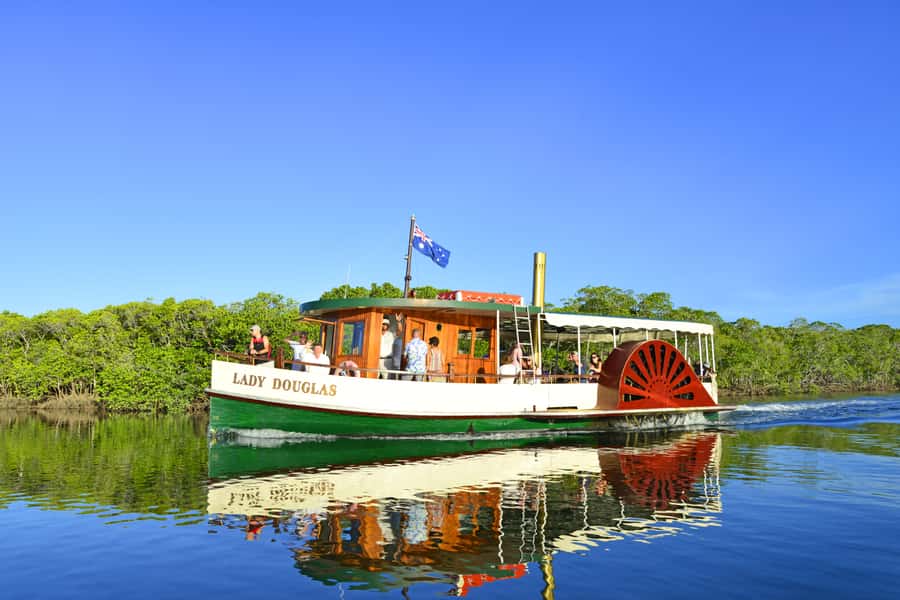 Port Douglas: River Cruise, Crocodile Spotting, Drink/ Snack - Mangroves first, crocodiles second