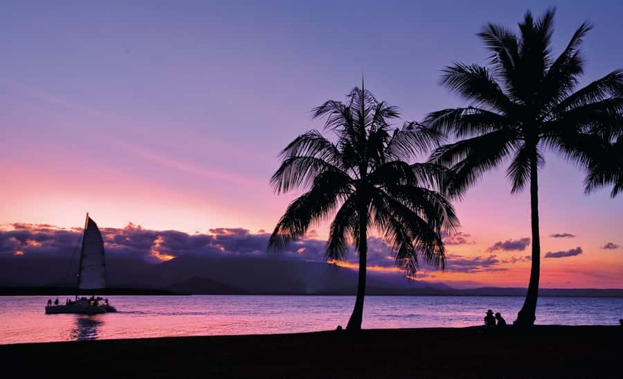 Port Douglas: Sunset Sailing Cruise on Luxury Catamaran - How the catamaran compares with a full-day reef trip