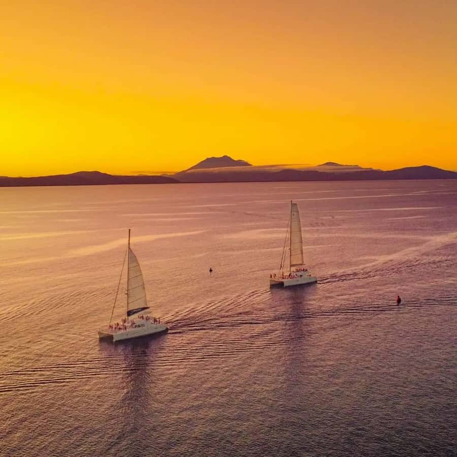 Port Douglas: Sunset Sailing Cruise on Luxury Catamaran - Practical planning for your Port Douglas evening