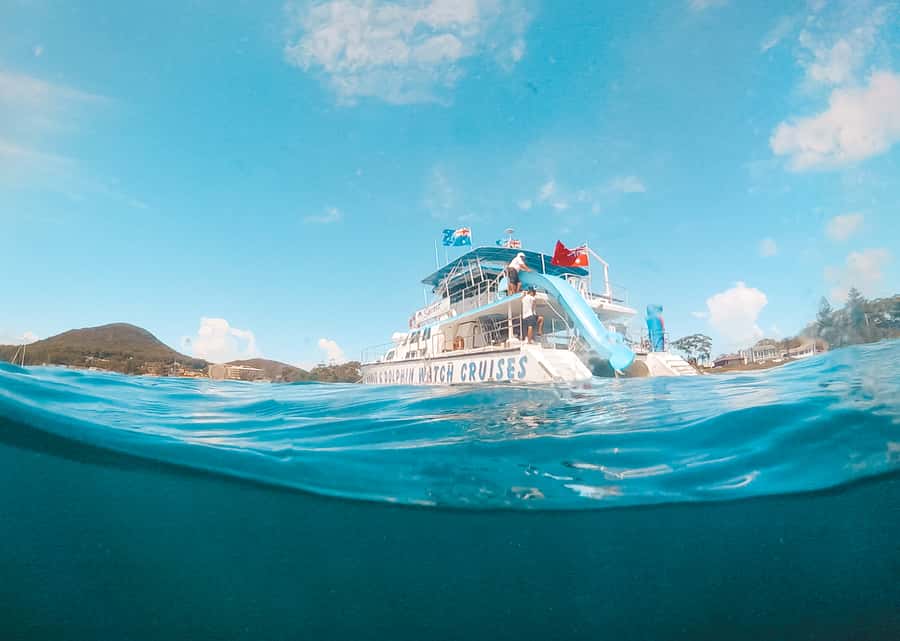 Port Stephens: Dolphin Watch Cruise with Swimming and Slides - Key points to know before you book
