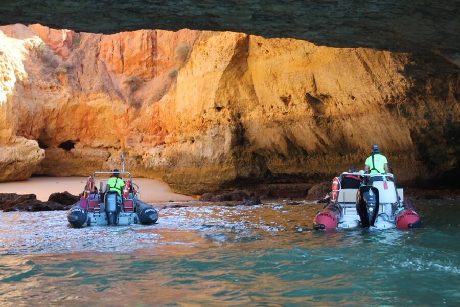 Portimão: Benagil Cave and Praia de Marinha Boat Tour - The ride back and the chance of dolphins
