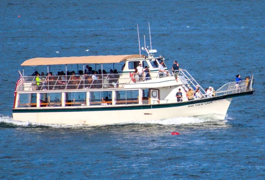 Portland: Best of Maine Lighthouse Scenic Cruise - Why this Casco Bay cruise is worth your time