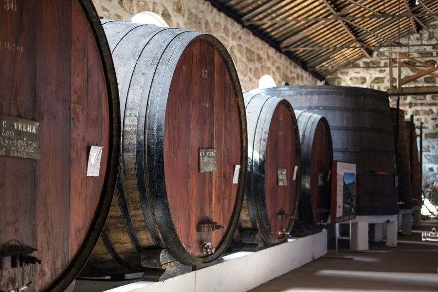 Porto: City Train Tour, River Cruise & Wine Cellar - Real Companhia Velha and two port tastings