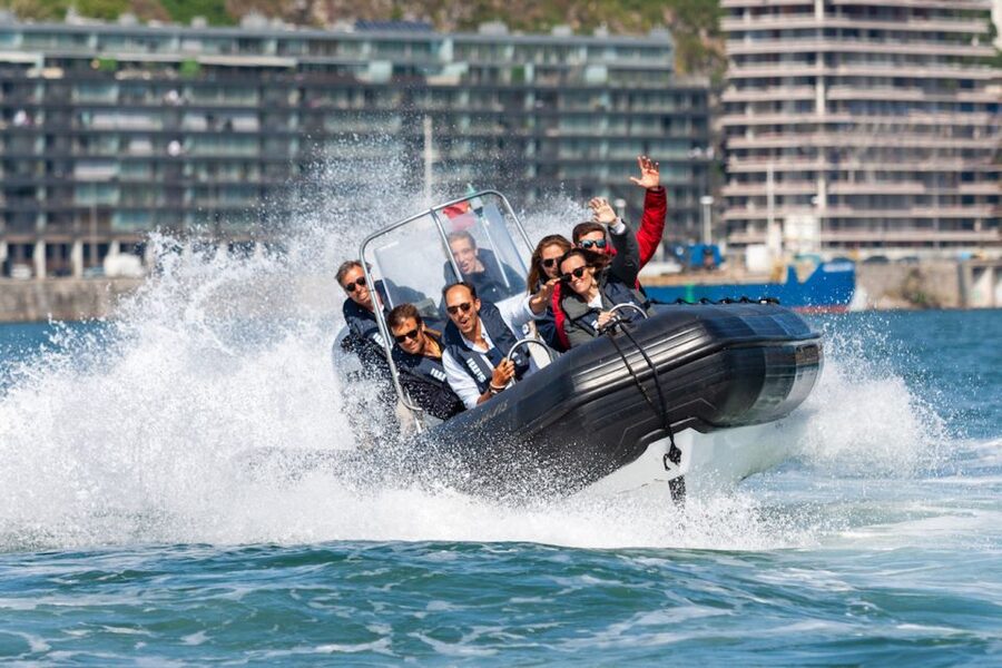Porto: Douro River Speedboat Tour - A fast introduction to Porto from Douro Marina