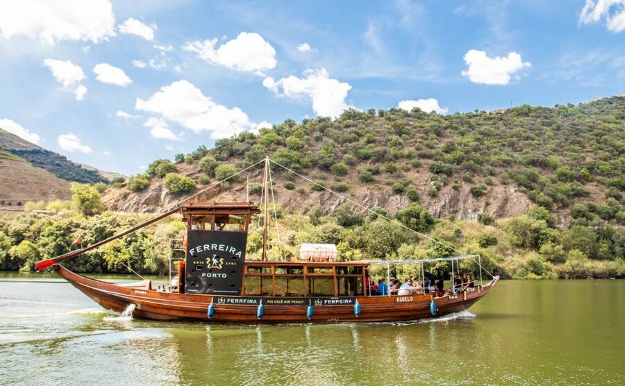 Porto: Douro Valley History & Wine Tour with Cruise & Lunch - Who should book this experience?