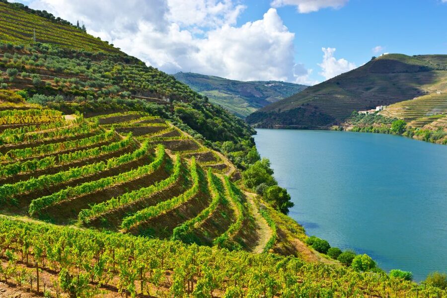 Porto: Douro Valley History & Wine Tour with Cruise & Lunch - Why this is a useful first day in the Douro Valley
