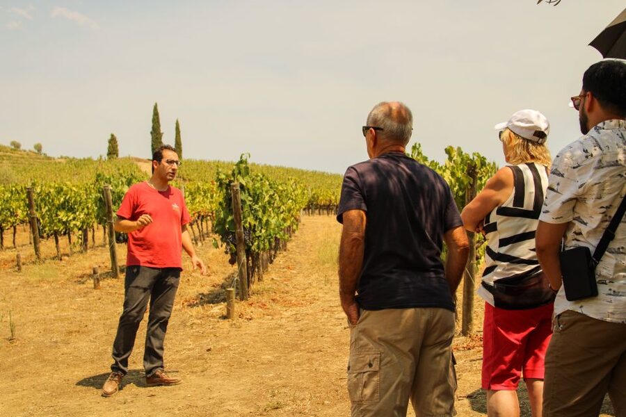 Porto: Douro Valley History & Wine Tour with Cruise & Lunch - São Leonardo da Galafura and the first great Douro view