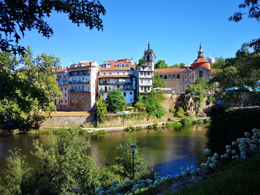 Porto: Douro Valley History & Wine Tour with Cruise & Lunch - The Port estate: useful, but not a long vineyard study
