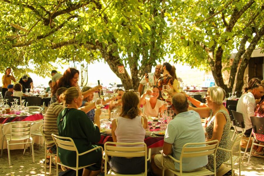 Porto: Douro Valley History & Wine Tour with Cruise & Lunch - The long return to Porto
