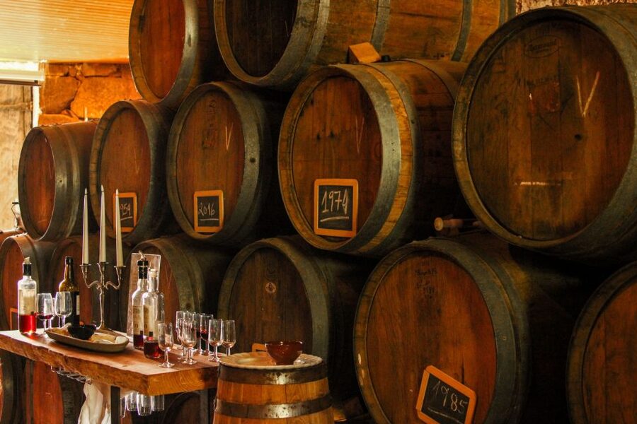 Porto: Douro Valley History & Wine Tour with Cruise & Lunch - Is $104 good value?