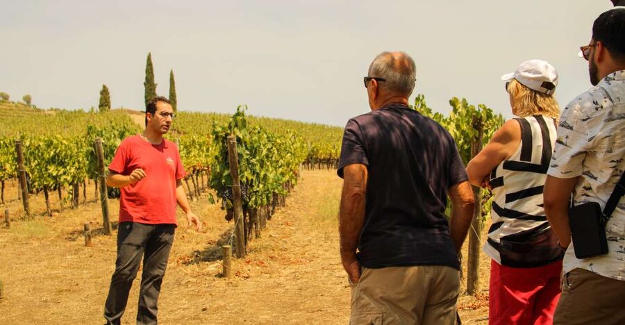 Porto: Douro Valley History & Wine Tour with Cruise & Lunch - Amarante: a short taste of the city of love