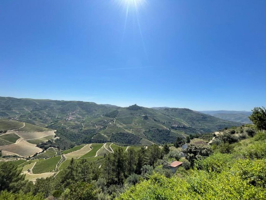 Porto: Douro Valley Tour with 2 Wineries, Lunch and Cruise - Key points at a glance
