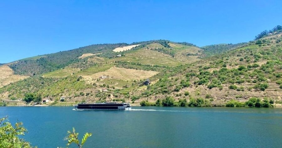 Porto: Douro Valley Tour with 2 Wineries, Lunch and Cruise - Weather, comfort, and who should book