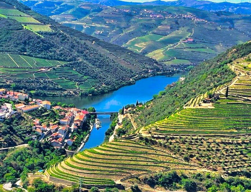 Porto: Douro Valley Tour with 2 Wineries, Lunch and Cruise - The second winery and the value of smaller producers