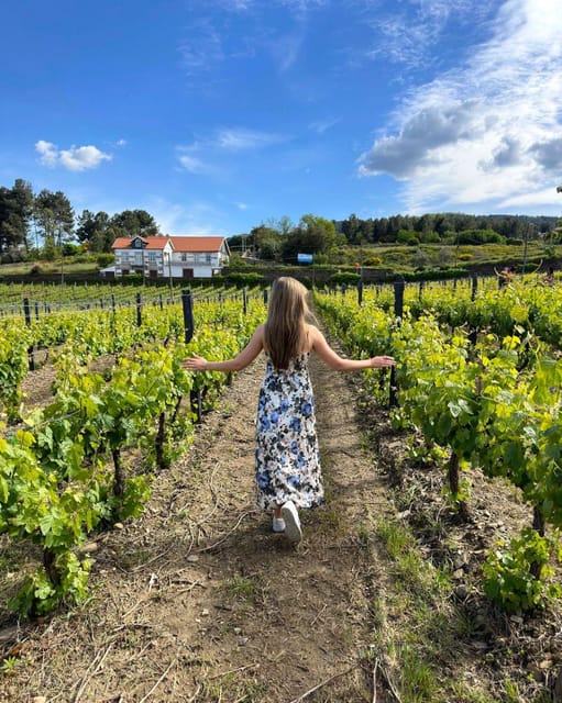 Porto: Douro Valley Tour with 2 Wineries, Lunch and Cruise - What $117 includes, and what it does not
