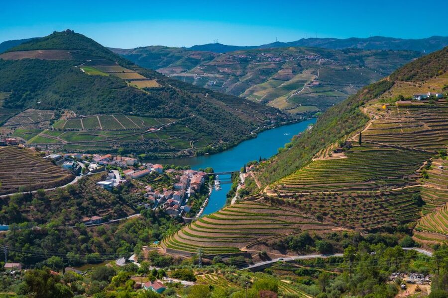 Porto: Douro Valley Tour with Lunch, Boat Cruise & Tastings - Lunch in a Douro wine cellar