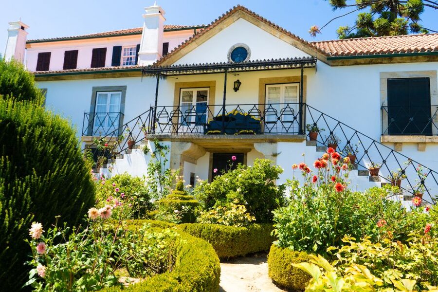 Porto: Douro Valley Tour with Lunch, Boat Cruise & Tastings - Driving the N222 and stopping for photographs