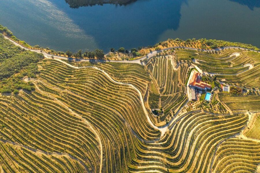 Porto: Douro Valley Tour with Wine Tasting, Cruise and Lunch - Who should book this tour?
