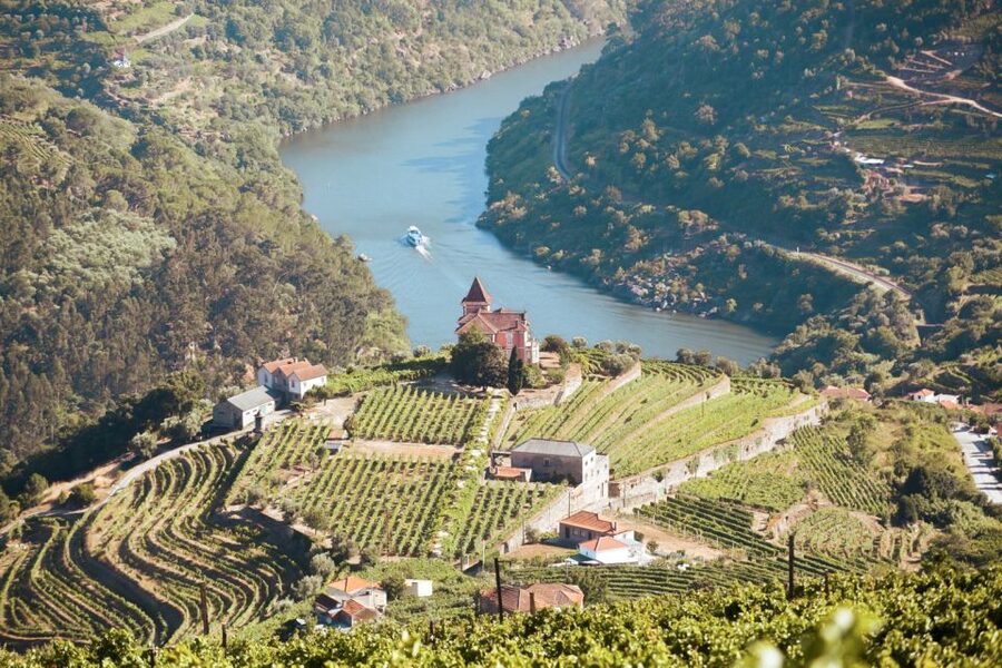Porto: Douro Valley Tour with Wine Tasting, Cruise and Lunch - Why this Douro Valley day trip works from Porto