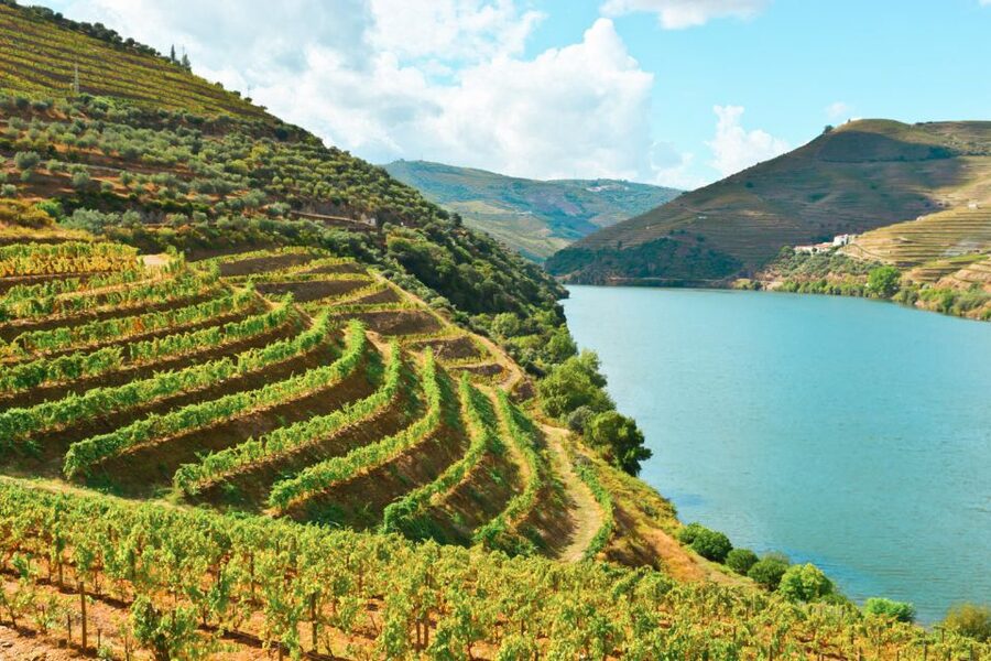 Porto: Douro Valley Tour with Wine Tasting, Cruise and Lunch - Lunch with local wine in the valley
