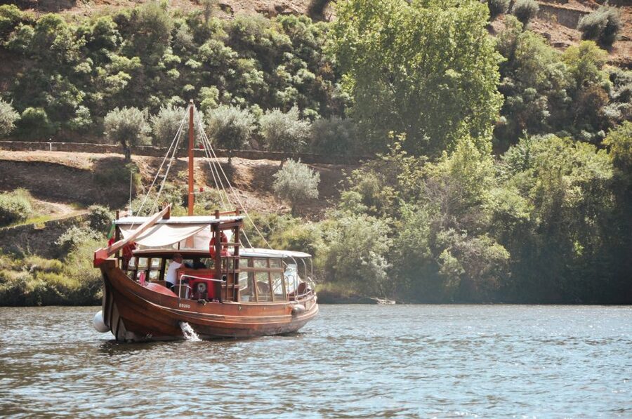 Porto: Douro Valley Tour with Wine Tasting, Cruise and Lunch - What the $76 price really includes
