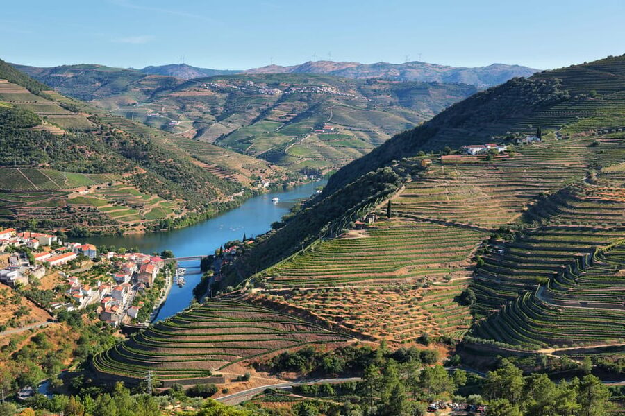 Porto: Douro Valley Wine Tour with a Sommelier & Boat Trip - Key points to know