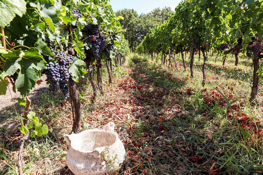 Porto: Douro Valley Wine Tour with a Sommelier & Boat Trip - Lunch in Pinhão with DOC Douro wine