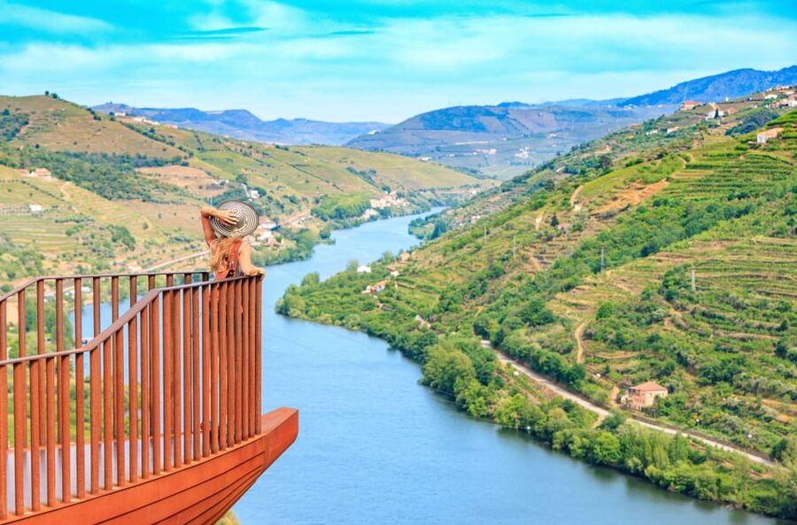 Porto: Douro Valley Wine Tour with a Sommelier & Boat Trip - A one-hour boat trip on the Douro