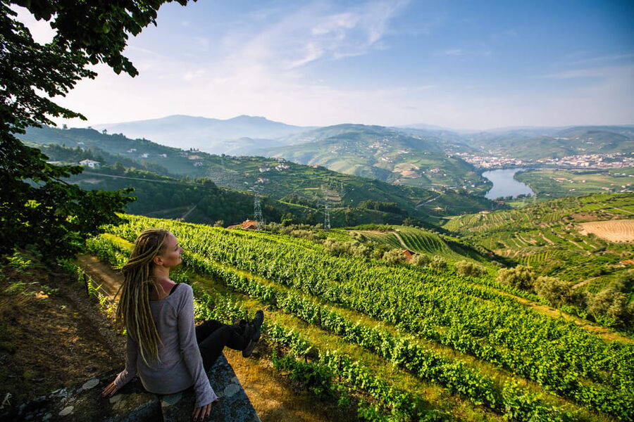 Porto: Douro Valley Wine Tour with a Sommelier & Boat Trip - What the sommelier guide adds