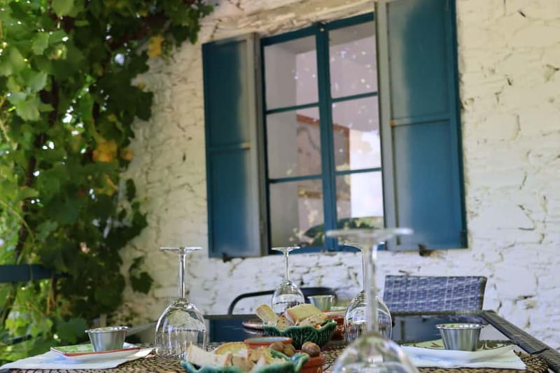 Porto: Douro Valley Wine Tour with Tastings, Lunch & Cruise - The N222, one of Portugal’s great scenic drives