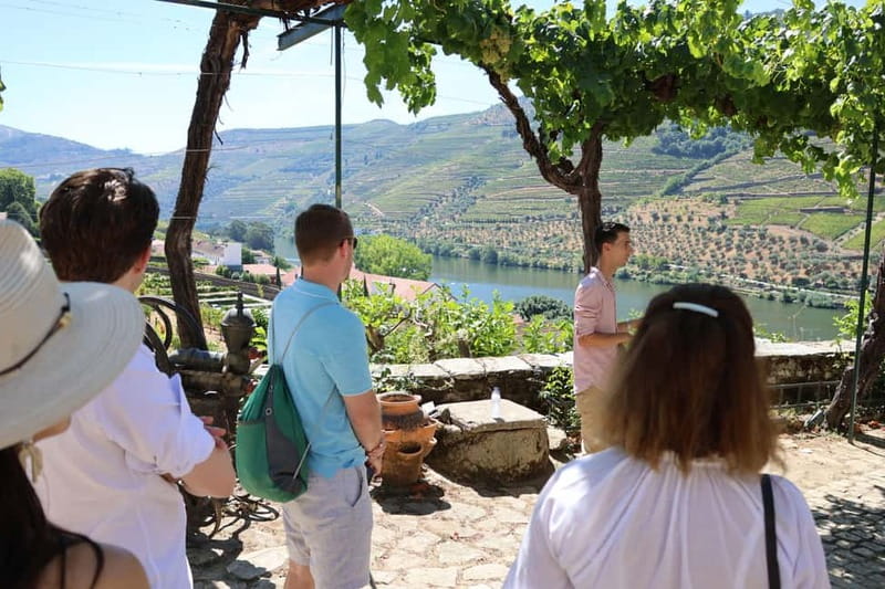 Porto: Douro Valley Wine Tour with Tastings, Lunch & Cruise - Lunch at a family estate