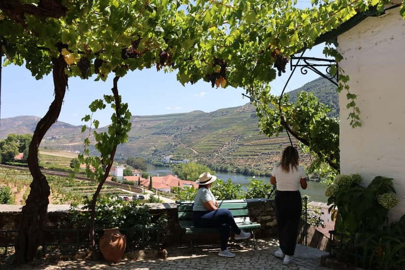 Porto: Douro Valley Wine Tour with Tastings, Lunch & Cruise - Inside the winery and cellar
