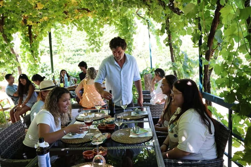 Porto: Douro Valley Wine Tour with Tastings, Lunch & Cruise - Is $113 a fair price?