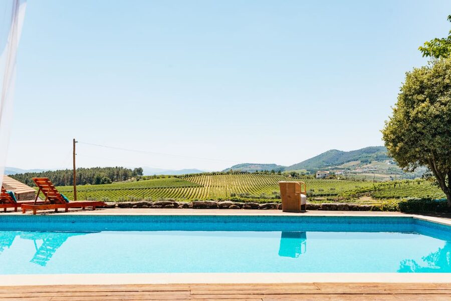 Porto: Douro Valley with Winery Lunch, Tastings & Cruise - The N222 drive back to Porto