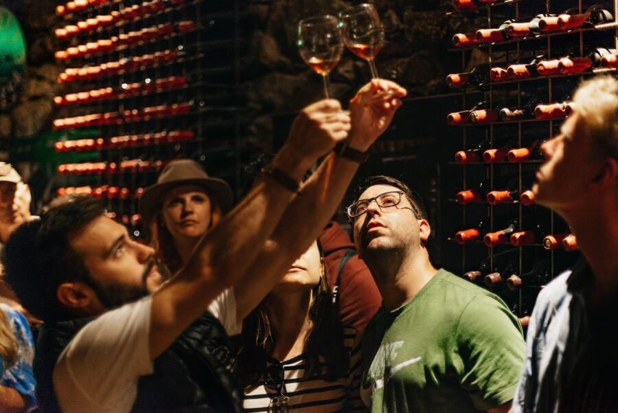 Porto: Douro Valley with Winery Lunch, Tastings & Cruise - Guides, group size, and the human side of the day